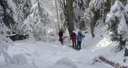 Alpe du Grand Serre 26/01/25