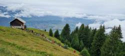 Haute-Savoie "le Môle" 8/09/24